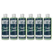 Paint Remover 240 ml (Pack x6) | Paint Stripper